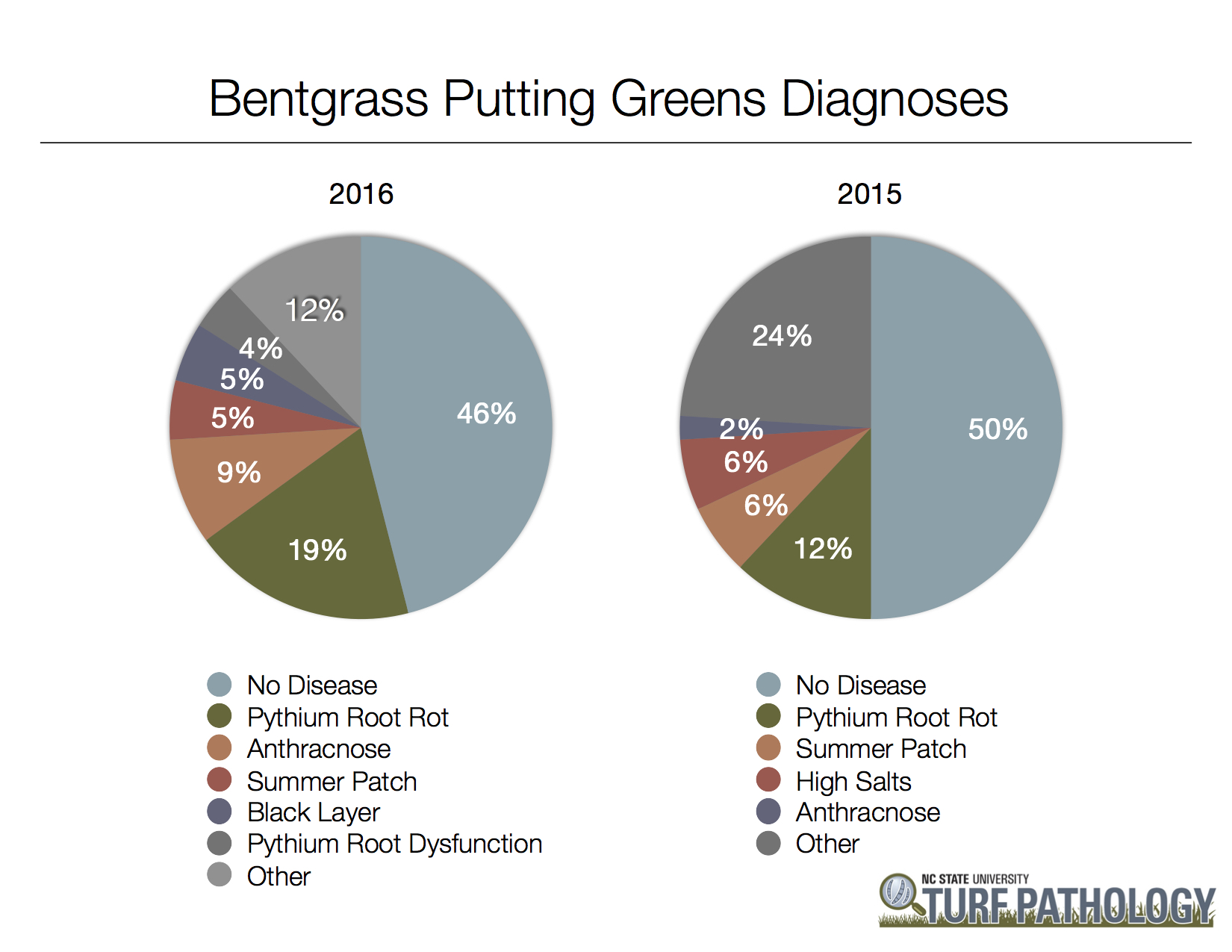 Bentgrass putting greens diagnoses