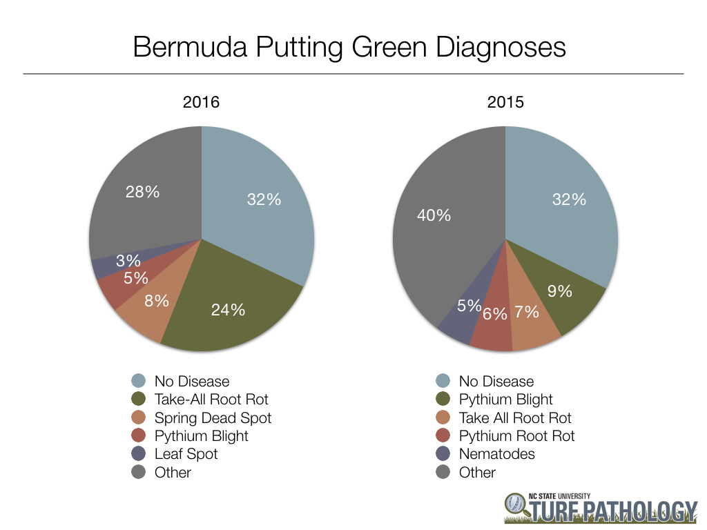 Bermudagrass putting green diagnoses
