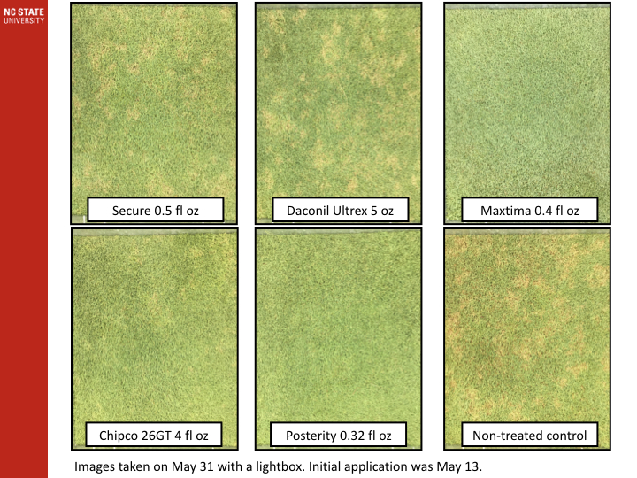 Fungicide store for grass