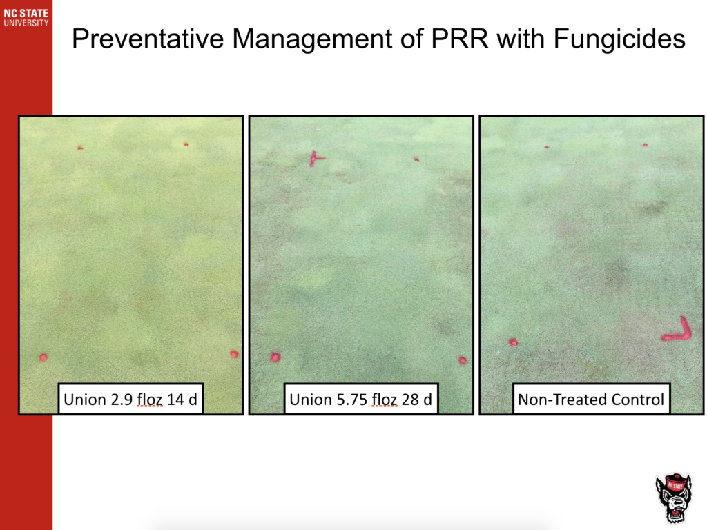 Preventive Management of PRR with Fungicides