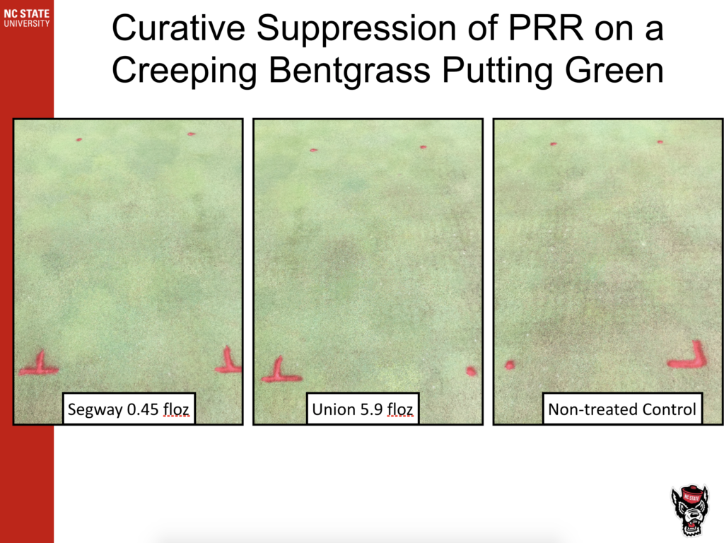 Curative Suppression of PRR on a Creeping Bentgrass Putting Green