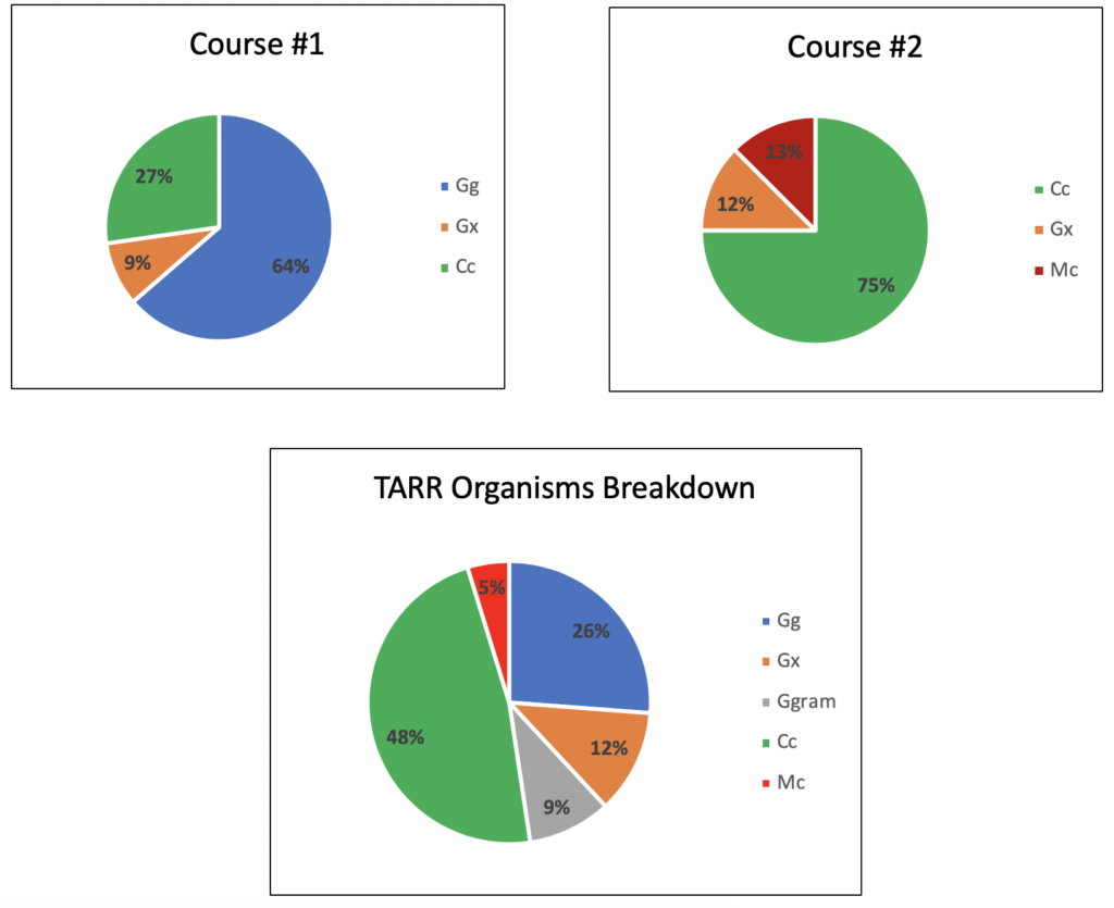 pie charts