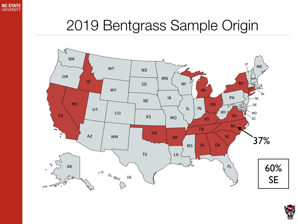 Bentgrass Sample Origin chart image