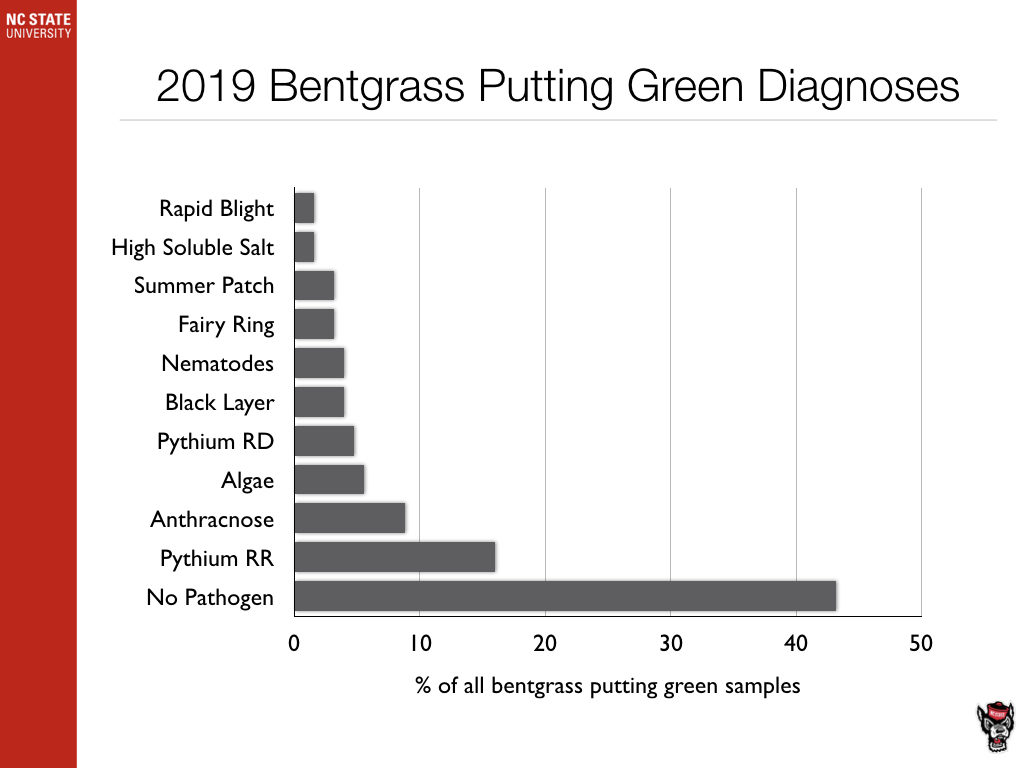 2019 Bentgrass Putting Green Diagnosis chart image