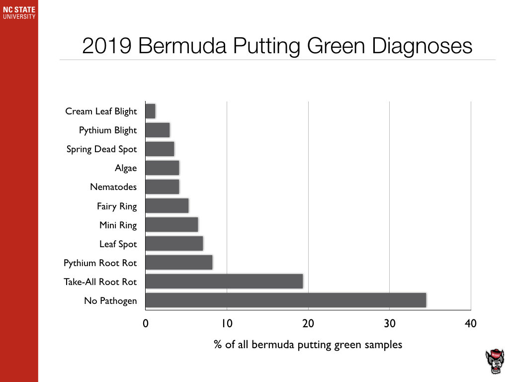 Bermuda Putting Green Diagnosis chart image