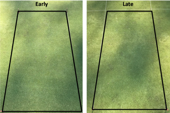 The effect of application timing on take-all root rot suppression