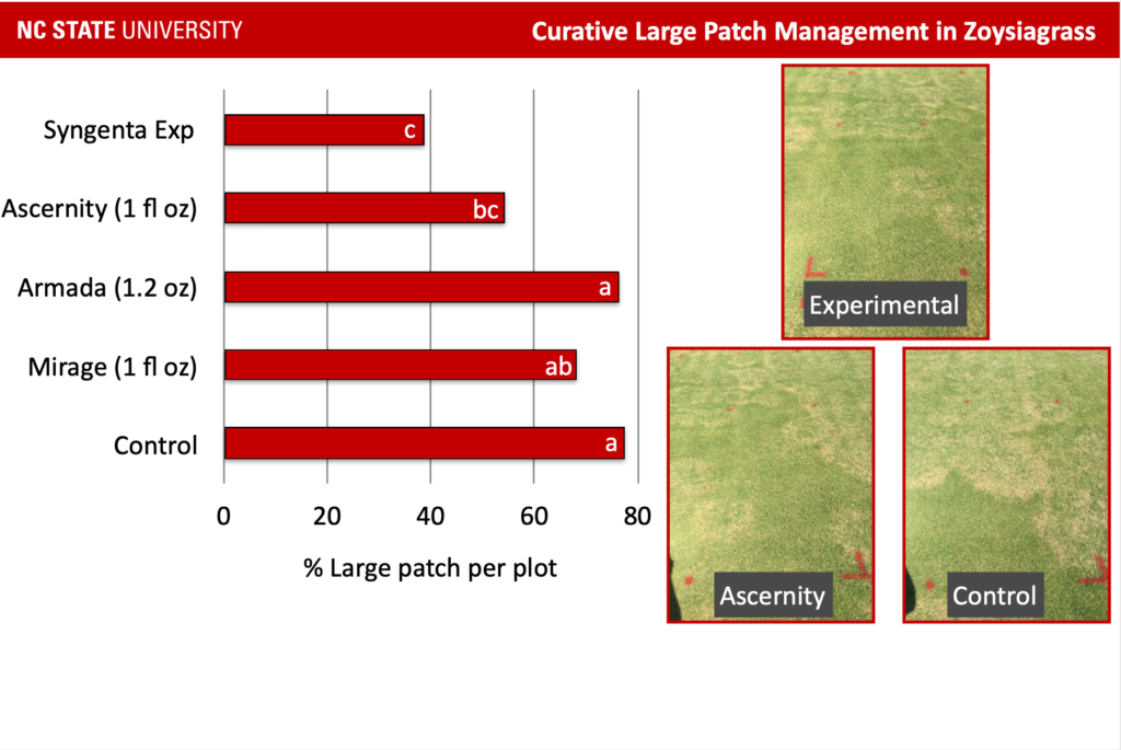 Zoysiagrass