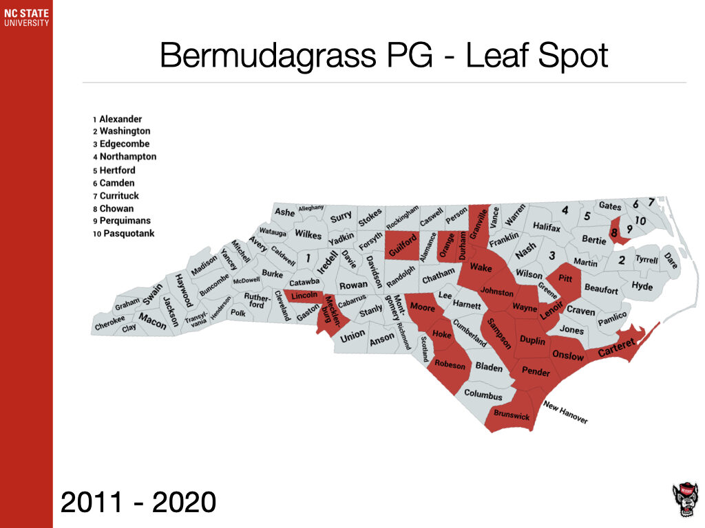 Bermudagrass PG - Leaf Spot
