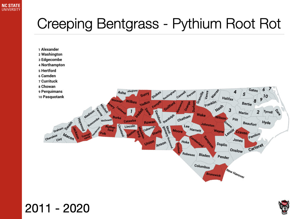 Creeping Bentgrass - Pythium Root Rot