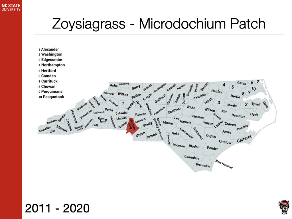Zoysiagrass Microdochium Patch Sample