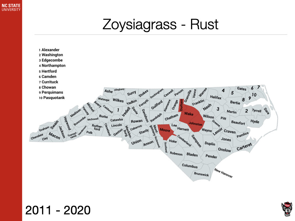 Zoysiagrass Rust Sample