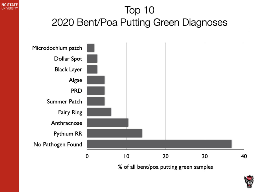 Top 10 2020 Bent/Poa Diagnosis chart image
