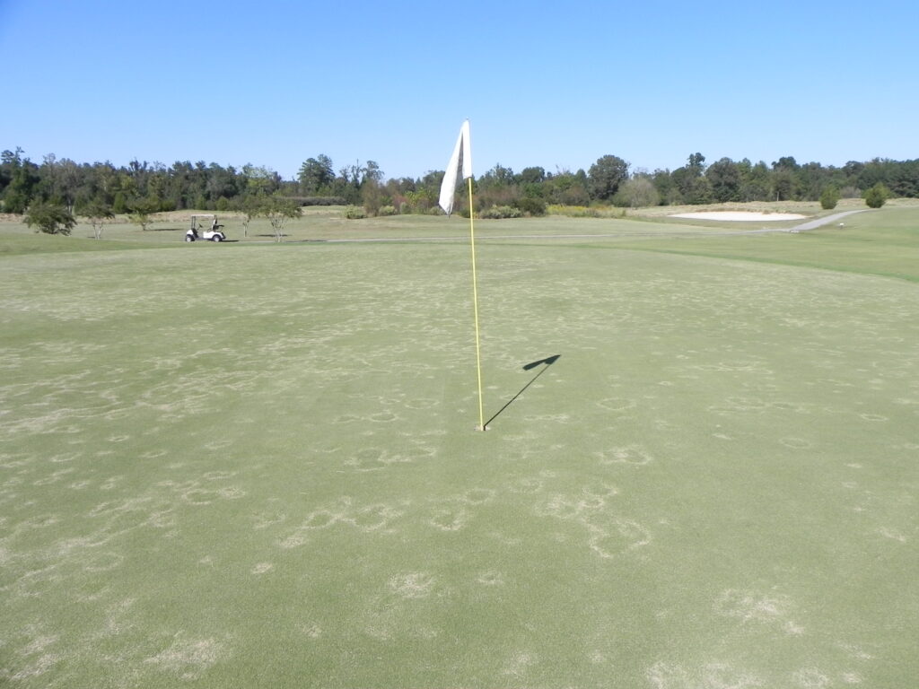 Golf hole flag