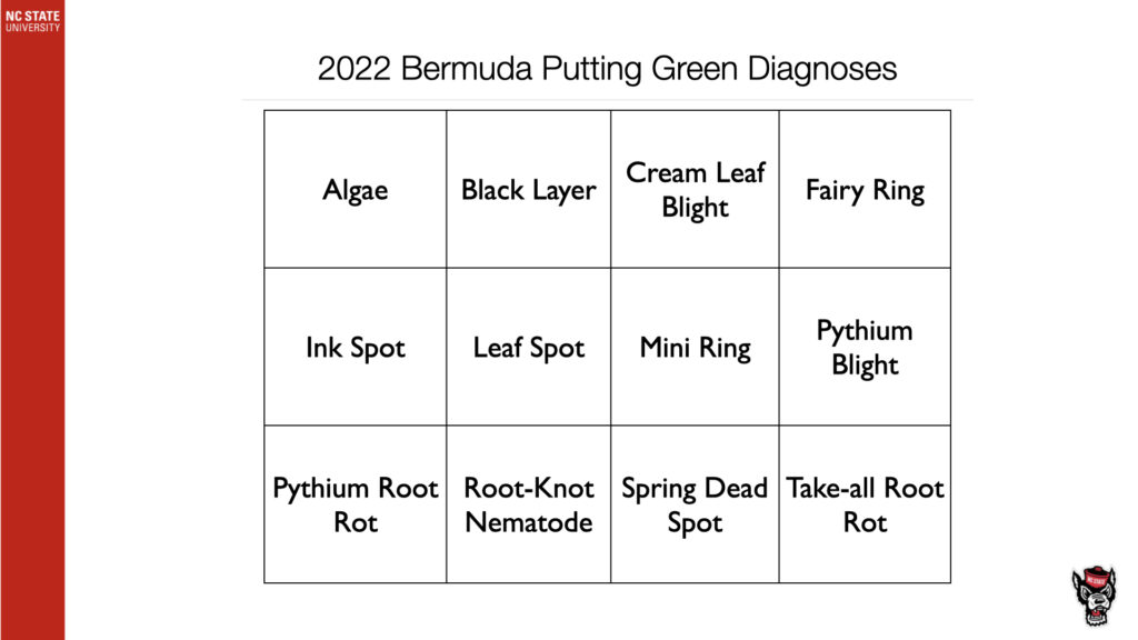 2022 Bermuda Putting Green Diagnoses