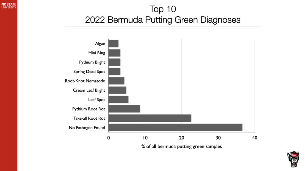 Top 10 2022 Bermuda Putting Green Diagnoses