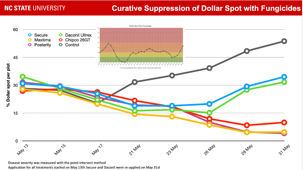 The chart titled "Curative Suppression of Dollar Spot with Fungicides" from NC State University displays the percentage of dollar spot per plot over time, from May 13 to May 31. It compares six treatments: Secure, Maxima, Posterity, Daconil Ultrex, Chipco 26GT, and Control. All treatments show a decline in dollar spot initially, but the Control treatment rises sharply towards the end of May, indicating higher disease severity without fungicides. Secure and Daconil were re-applied on May 31. A smaller inset graph shows the Dollar Spot Risk Percentage over the same period.