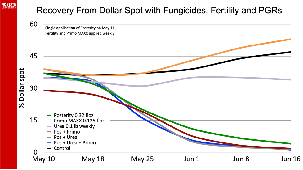The chart titled "Recovery From Dollar Spot with Fungicides, Fertility and PGRs" from NC State University tracks the percentage of dollar spot from May 10 to June 16. It compares treatments including Posterity, Primo MAXX, Urea, and their combinations against a Control. The chart shows that the combination treatments generally reduce dollar spot more effectively over time compared to individual treatments and the Control.